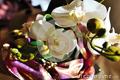 plasti photo depicting an orchid Stock Photo