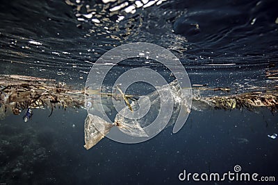 Plastic bag drifting over coral reef underwater Stock Photo