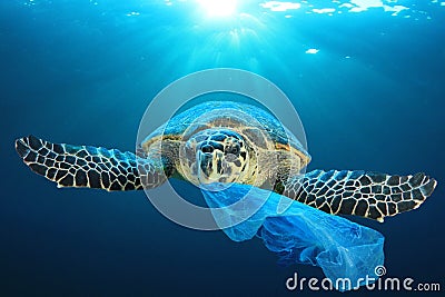 Plastic pollutes the sea with Turtle Stock Photo