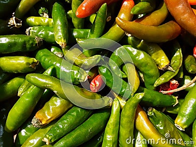 Plastic Basket in Red green Chilie. Plastic Pieces Medium Size Multipurpose Storage Basket Stock Photo