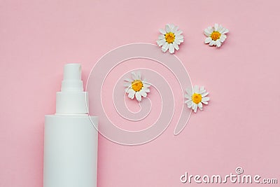 bottle of facial moisturizing toner or hair spray fresh chamomile flowers isolated on pastel rose background, flay layout, top vie Stock Photo