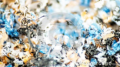 Plastic contamination of water environment Stock Photo