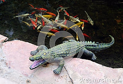 Plastic Crocodile lies on the bank of a pond Stock Photo