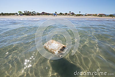 Plastic deposit in ocean next to beach Stock Photo