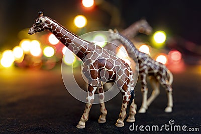 Plastic figurines of giraffes in a savannah-like environment at night Stock Photo