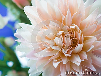 Plastic flower Stock Photo