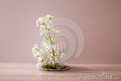 Plastic flower props Stock Photo