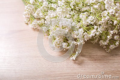 Plastic flower props Stock Photo