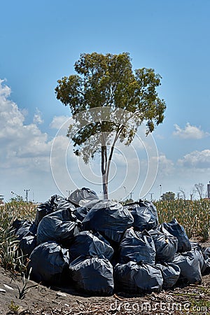 Plastic garbage bags near the tree Stock Photo