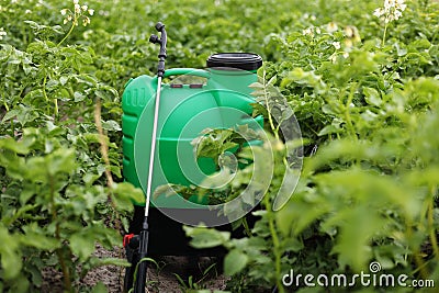 Plastic green backpack container sprayer with liquid of pesticide, herbicide for protecting plants from diseases and Stock Photo