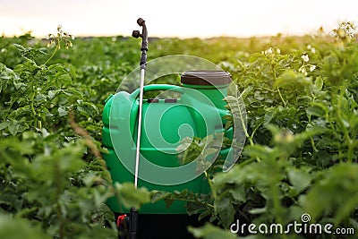 Plastic green backpack container sprayer with liquid of pesticide, herbicide for protecting plants from diseases and Stock Photo