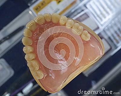 Typodont, plastic moulage of human jaws and teeth placed on a counter of a shop Stock Photo