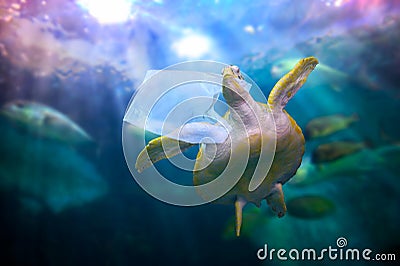 Plastic ocean turtle are eating plastic bags under the blue sea. Environmental conservation concepts and not throwing garbage into Stock Photo