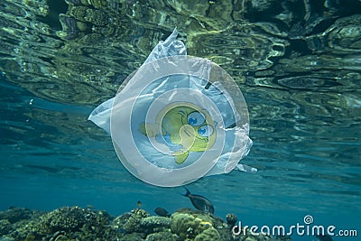 Plastic pollution, Close-up of white plastic bag with yellow smiley face slowly drifting underwater over coral reef Stock Photo