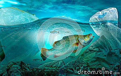 Plastic pollution in marine environmental problems Animals in the sea cannot live. And cause plastic pollution in the ocean Stock Photo
