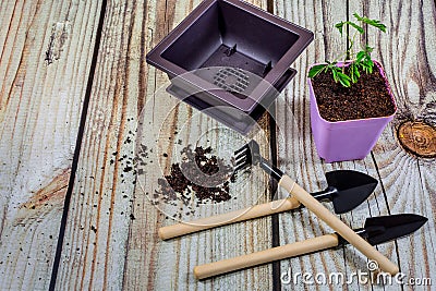 Plastic pots, and Gardening tools. Stock Photo