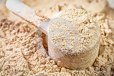 Plastic scoop full of protein powder Stock Photo
