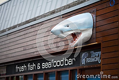 Plastic Shark head in Carmarthen Editorial Stock Photo