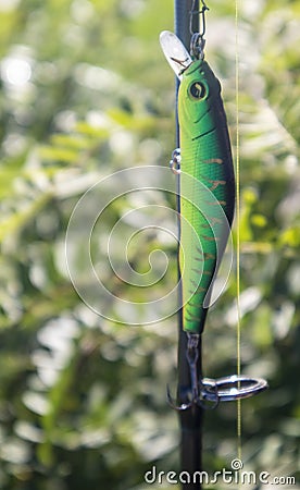 Plastic spinner wobbler for spinning in nature. Colorful fishing lures. Ukraine, Kyiv - October 09, 2022 Stock Photo