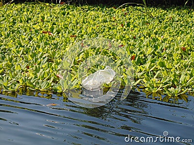 plastic trash that disturbs the view on the river Stock Photo