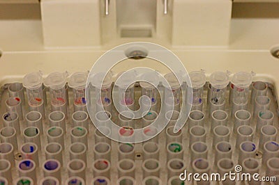 Plastic tubes in a thermocycler used for PCR polymerase chain reaction Stock Photo