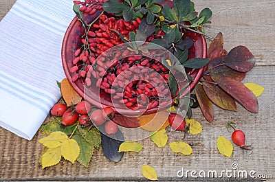 Plate with berries of barberry on the old boards next to the tissue paper and autumn leaves and scattered berries rose hips Stock Photo