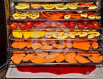 A plate dryer, a drying kiln filled with several different fruits and vegetables, ready to start Stock Photo