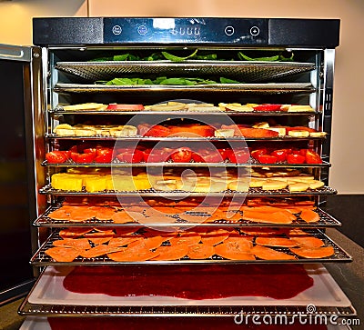 A plate dryer, a drying kiln filled with several different fruits and vegetables, ready to start Stock Photo