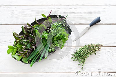 Plate with flavoring, knife and thyme on white Stock Photo
