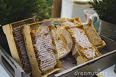 a plate of honeycombs sold at the fair Stock Photo