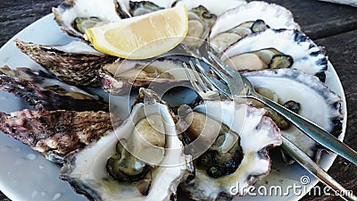 A plate of oysters Stock Photo