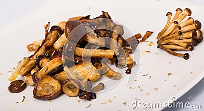 Plate with wood mushrooms Stock Photo