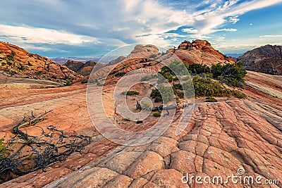 Plateau Yant Flat - Candy Cliffs, Utah Stock Photo