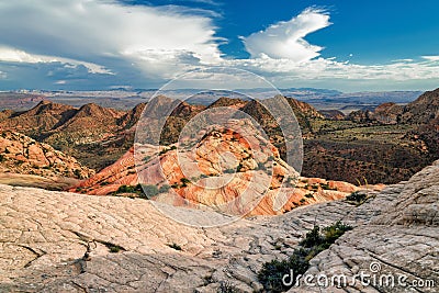 Plateau Yant Flat - Candy Cliffs, Utah Stock Photo