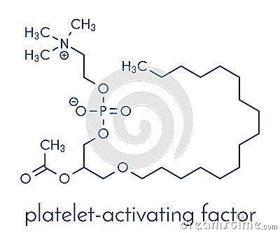 Platelet-activating factor molecule. Plays role in thrombosis, inflammation, etc Skeletal formula. Vector Illustration