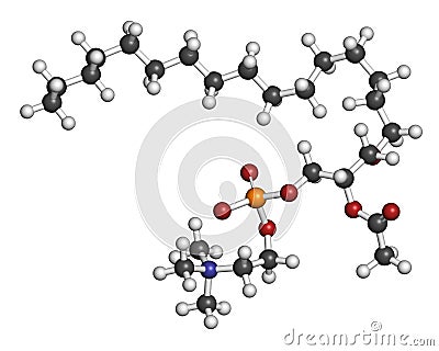 Platelet Activating Factor PAF signaling molecule. 3D rendering. Atoms are represented as spheres with conventional color coding Stock Photo