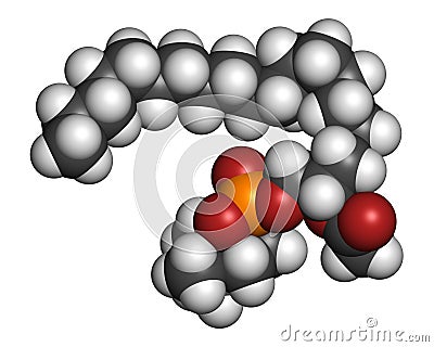 Platelet Activating Factor PAF signaling molecule. 3D rendering. Atoms are represented as spheres with conventional color coding Stock Photo