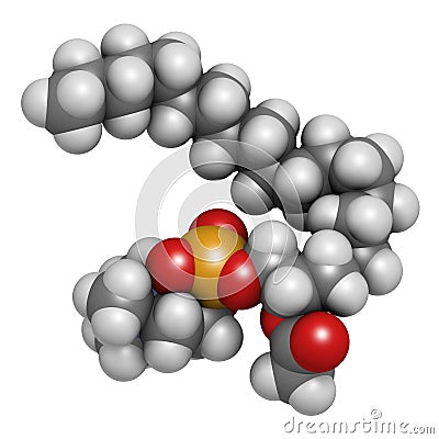 Platelet Activating Factor (PAF) signaling molecule. 3D rendering. Atoms are represented as spheres with conventional color coding Stock Photo
