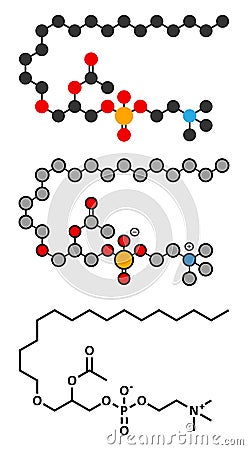 Platelet Activating Factor (PAF) signaling molecule Vector Illustration