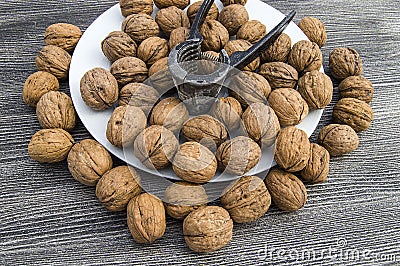 Plates of natural walnuts and walnut crumbs A plate of dry walnuts, the most wonderful walnut pictures Stock Photo