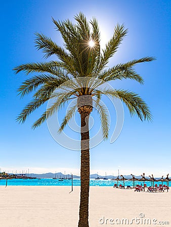 Platja de Alcudia beach in Mallorca Majorca Stock Photo