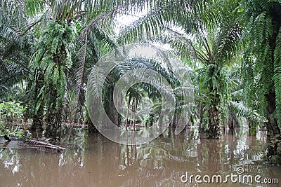 Play garden in massive flooding, Editorial Stock Photo