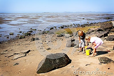 Play on the shore Stock Photo