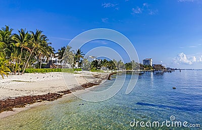 Playa Azul beach palm seascape panorama in Cancun Mexico Stock Photo
