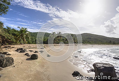 Playa Brava beach on Isla Culebra Stock Photo