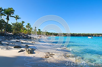 Playa de la isla Catalina - Caribbean tropical sea Stock Photo