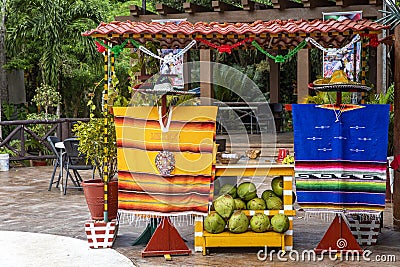 Playa del Carmen, Mexico April 4, 2023: A Mexican coconut store in Mexico, this is one of the popular street food stands. Editorial Stock Photo