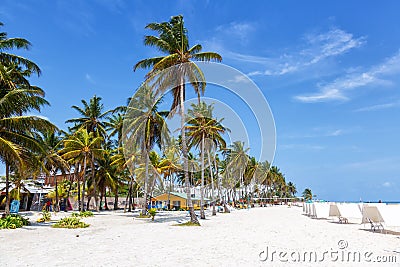 Playa Spratt Bight beach travel with palms vacation sea on island San Andres in Colombia Editorial Stock Photo