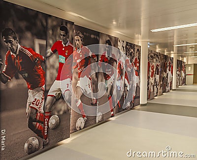 Players tunnel at FC Benfica stadium Editorial Stock Photo