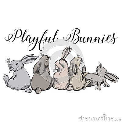 Playful bunnies, rabbits, cute bunny fun Vector Illustration